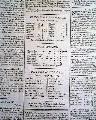 Early cricket report... - Image 6