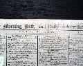 Cricket... - Image 1