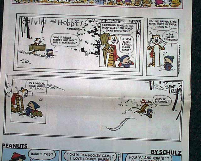 Calvin and Hobbes' final comic strip... 