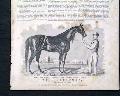 Racehorse Illustration... - Image 1