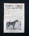 Racehorse Illustration... - Image 3