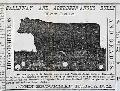 Very rare New Mexico newspaper... - Image 4