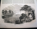 Print of the Mormon city of Nauvoo... - Image 9