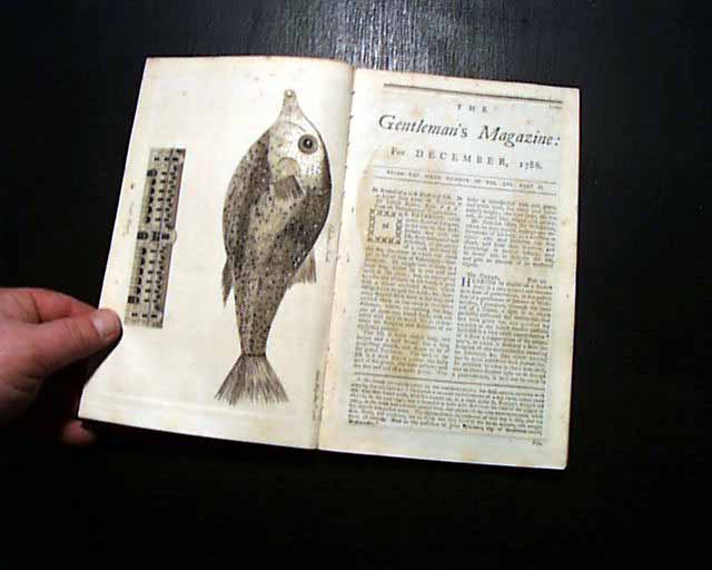 Botany Bay... Rules for servants... Indian skirmishes in America