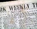Terrific Gold Rush headlines... - Image 2