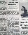 1964 "Dewey Lake Monster" in Michigan... - Image 2