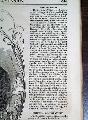 1854 Woodcut Of Brigham Young - Mormons... - - Image 6