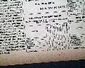 Very rare baseball newspaper from 1886... - Image 10