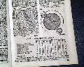 Early horse racing carriage... - Image 6