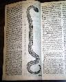 A conversion of a Jew...   Print of a serpent... - Image 8