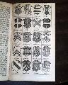 A conversion of a Jew...   Print of a serpent... - Image 9