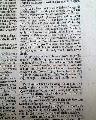 1682 Woman Publisher... - Image 4