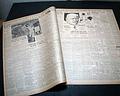 William Muldoon death... wrestling champion... - Image 7