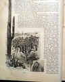 Gunfight at the OK Corral... - Image 10