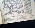Map of Western Europe (portions)... Judaica... - Much on George Whitefield... Methodism... - Image 10