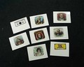 Collection of eight colorful cigar box labels... - Image 1