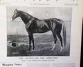 Horseracing magazine with a displayable prints and ads... - Fasig-Tipton ad... - Image 1