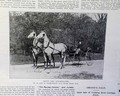 Horseracing magazine with a displayable prints and ads... - Fasig-Tipton ad... - Image 8