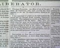 Colored troops... contrast... - Image 7