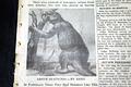 1964 "Dewey Lake Monster" in Michigan... - Image 2