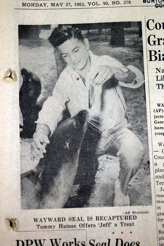 1963 "Jeff the Seal" Niagara Falls plunge...