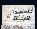 Boston Massacre defendants plead "not guilty"...   Two plates... - Image 8