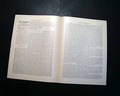 Rare title with a nice masthead... - Image 3