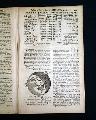 American Indies... - Image 10