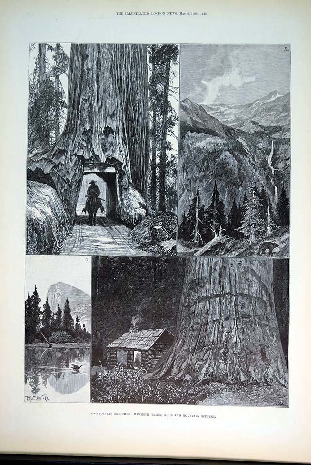 California illustrations from 1888...