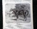 Horseracing magazine with a displayable, color insert... - Image 4