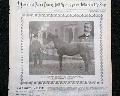 Horseracing magazine with a displayable, color insert... - Image 4