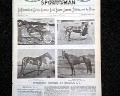 Horseracing magazine with a displayable, color insert... - Image 4