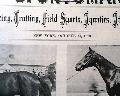 Horseracing magazine with a displayable, color insert... - Image 2