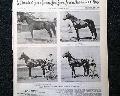 Horseracing magazine with a displayable, color insert... - Image 4