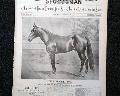 Horseracing magazine with a displayable, color insert... - Image 4