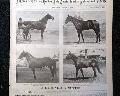 Horseracing magazine with a displayable, color insert... - Image 4