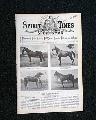 Horseracing magazine with a displayable, color insert... - Image 3