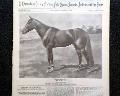 Horseracing magazine with a displayable, color insert... - Image 4