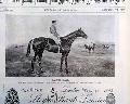 Horseracing magazine with a displayable, color insert... - Image 4