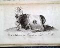 Battle of Long Island, and much more... - Image 5