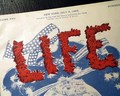 Displayable 4th of July issue... - Image 1
