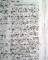Print of a Charleston church, and a bird... - Image 4