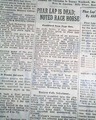 Racehorse Phar Lap death... - Image 7