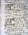 Displayable masthead from the 18th century... - Image 7
