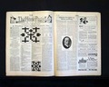 An article on Darwin just months prior to the Scope's monkey trial... - Image 8