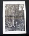 Double-Page Woodcut prints... - Image 5
