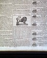 1802 Lion Advertisement... - Image 4