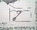 A "Mechanical Bird" that flies...   - Image 5