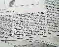 A "Mechanical Bird" that flies...   - Image 8