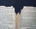James Madison signature... - Image 8